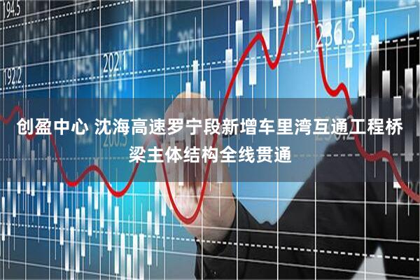 创盈中心 沈海高速罗宁段新增车里湾互通工程桥梁主体结构全线贯通