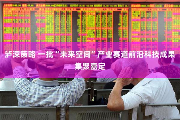 泸深策略 一批“未来空间”产业赛道前沿科技成果集聚嘉定
