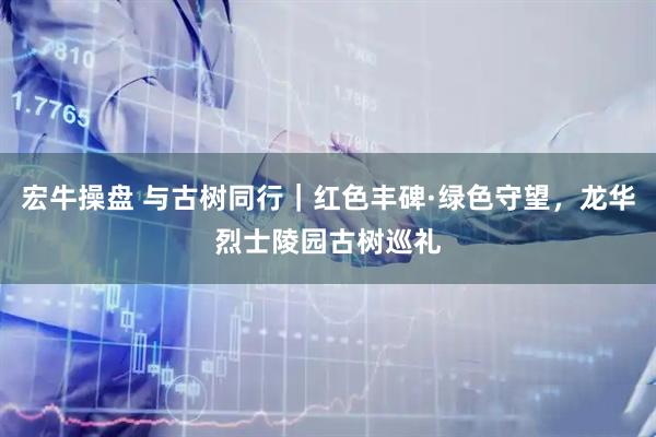宏牛操盘 与古树同行｜红色丰碑·绿色守望，龙华烈士陵园古树巡礼