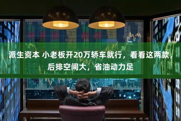 派生资本 小老板开20万轿车就行，看看这两款，后排空间大，省油动力足