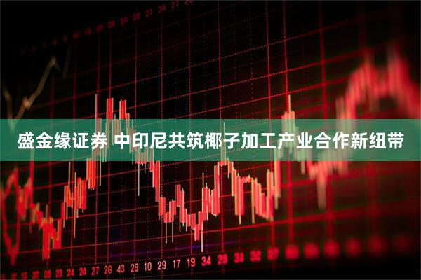 盛金缘证券 中印尼共筑椰子加工产业合作新纽带