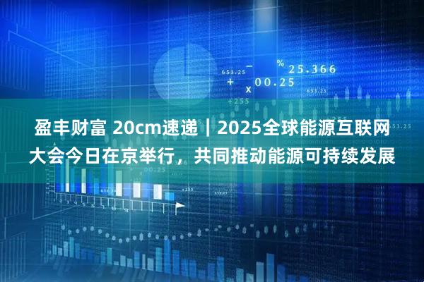 盈丰财富 20cm速递｜2025全球能源互联网大会今日在京举行，共同推动能源可持续发展