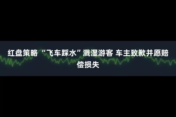 红盘策略 “飞车踩水”溅湿游客 车主致歉并愿赔偿损失