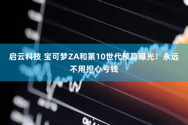 启云科技 宝可梦ZA和第10世代预算曝光！永远不用担心亏钱