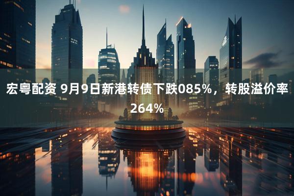 宏粤配资 9月9日新港转债下跌085%，转股溢价率264%